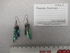 Abalone Earrings