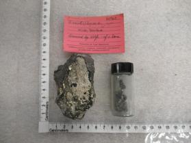 bismutoplagionite