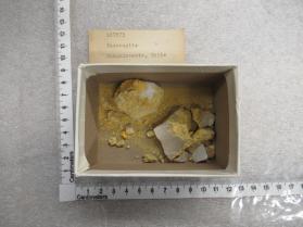 Tamarugite