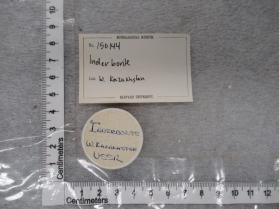 Inderborite