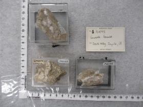 Gowerite, Ginorite