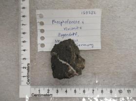 Phosphoferrite and Vivianite