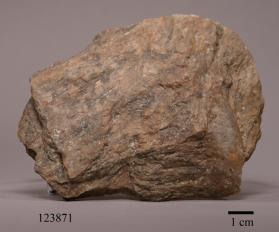 Astrophyllite