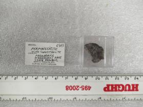 Permingeatite with Clausthalite
