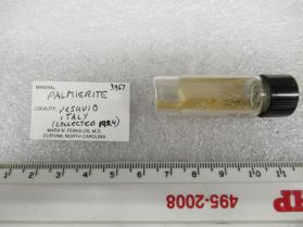 Palmierite