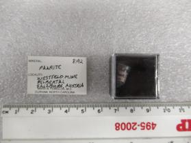Paarite