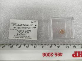 Palladodymite with Isoferroplatinum