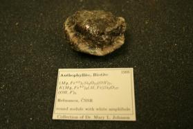 Clinoptilolite