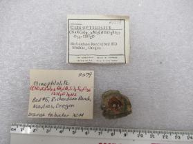 Clinoptilolite