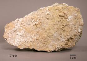 Chrysotile