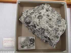 Biotite Orbicules in Granite