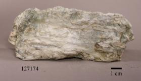 Chrysotile