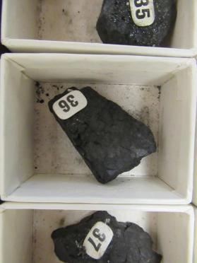 sub-bituminous coal