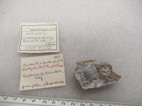 Clintonite, var. Xanthophyllite