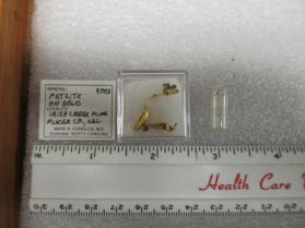 Petzite with Gold (2 pieces)