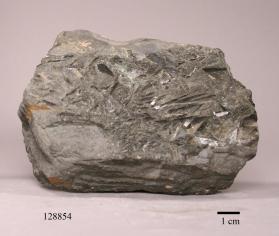 Pargasite