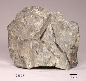 Hornblende