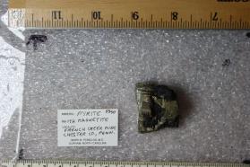 Pyrite with Magnatite