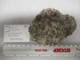 Pyrite with Calcite