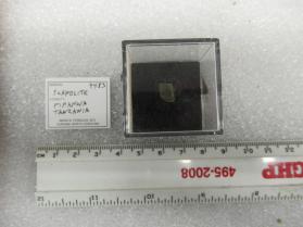 Scapolite
