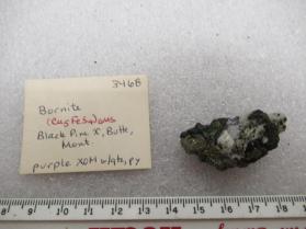 Bornite