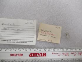 Beryllonite