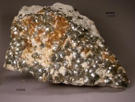 Muscovite