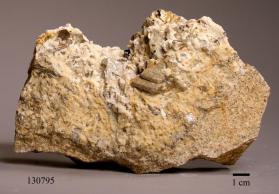 CASSITERITE