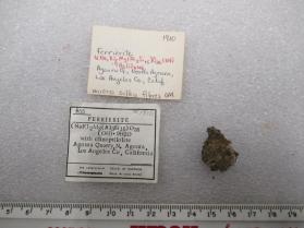Ferrierite