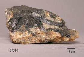 Hornblende