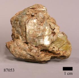 leuchtenbergite