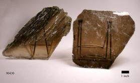 Muscovite with ALMANDINE