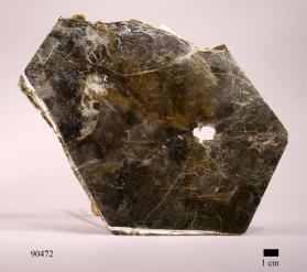 Phlogopite