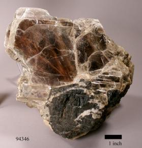 SCHORL with Albite and Muscovite and Quartz