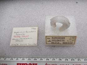 Gypsum, v. Rams horn Selenite