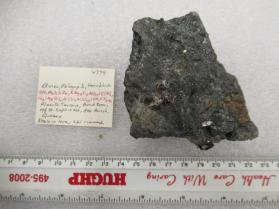 Olivine, Phlogopite, Hornblende