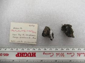 Nekoite