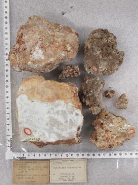 Albitized microcline