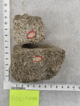 Biotite granite