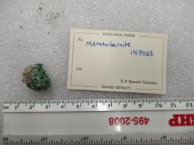 Metatorbernite
