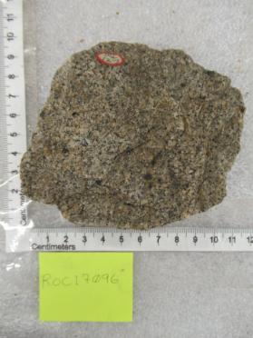 Biotite aplite