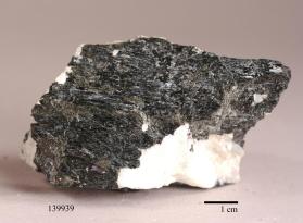 Magnesiokatophorite