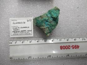 Guanacoite