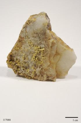 Gold with Quartz