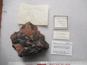 Columbite-(Fe)