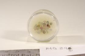 CORUNDUM