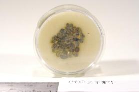 CORUNDUM