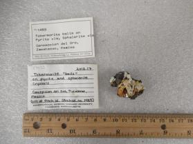 Tobermorite on pyrite and sphalerite