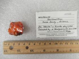 Wulfenite