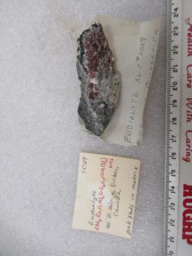 Eudialyte